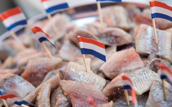 About DutchFish.nl | Dutchfish.nl